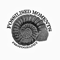 Fossilised Moments Photography 1062714 Image 0